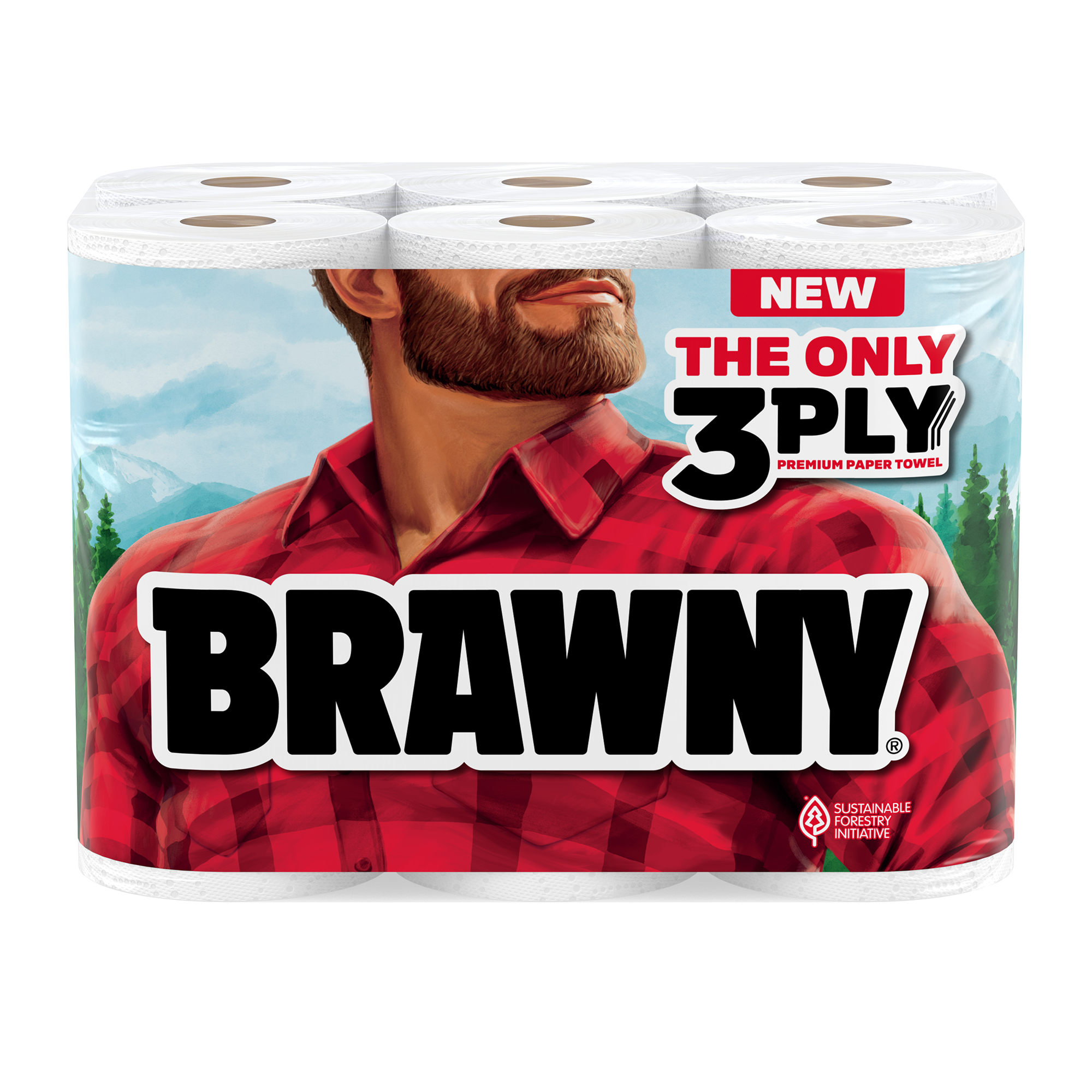 Save $2.00 on Brawny