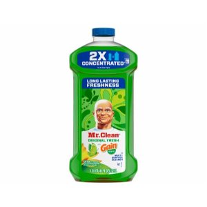 Save $1.00 on Mr. Clean Liquid Dilutes