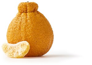 $1.99 Sumo Mandarins