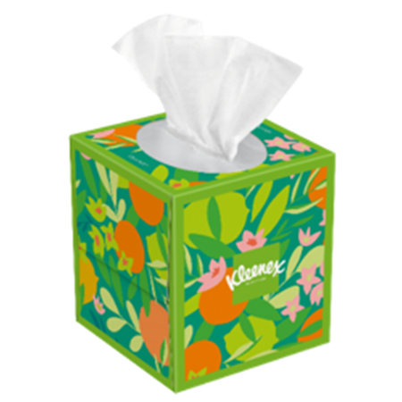 Save $1.00 on 3 Kleenex