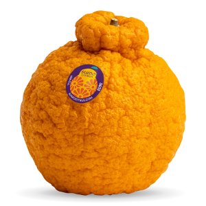 Save $0.50 on Sumo Citrus