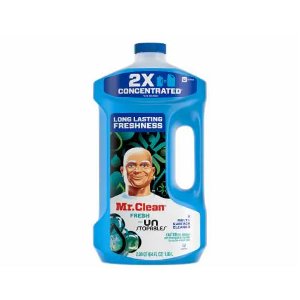 Save $1.00 on Mr. Clean Liquid Dilutes