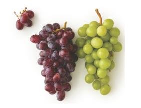 $1.99 lb Red or Green Grapes