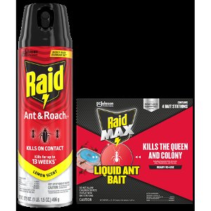 Save $1.25 on Raid