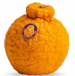 $2.49 Sumo Mandarins