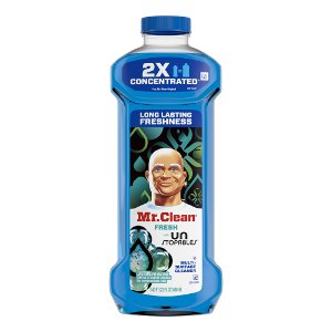 Save $1.00 on Mr Clean Home Care