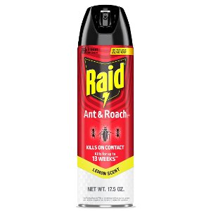 Save $0.75 on Raid