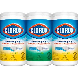 Save $1.00 on Clorox Wipes