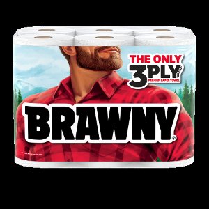 Save $2.00 on Brawny