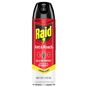 Save $1.00 on Raid Ant & Roach
