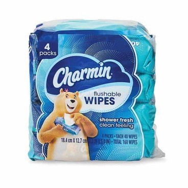 Charmin Flushable WipesBuy 1 Get 1 FREEFree item of equal or lesser price.
4-pk. 160-ct. pkg.