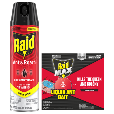 Save $1.25 on any ONE (1) Raid&reg; Product
